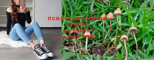 бошки Абдулино